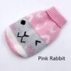 Pink rabbit