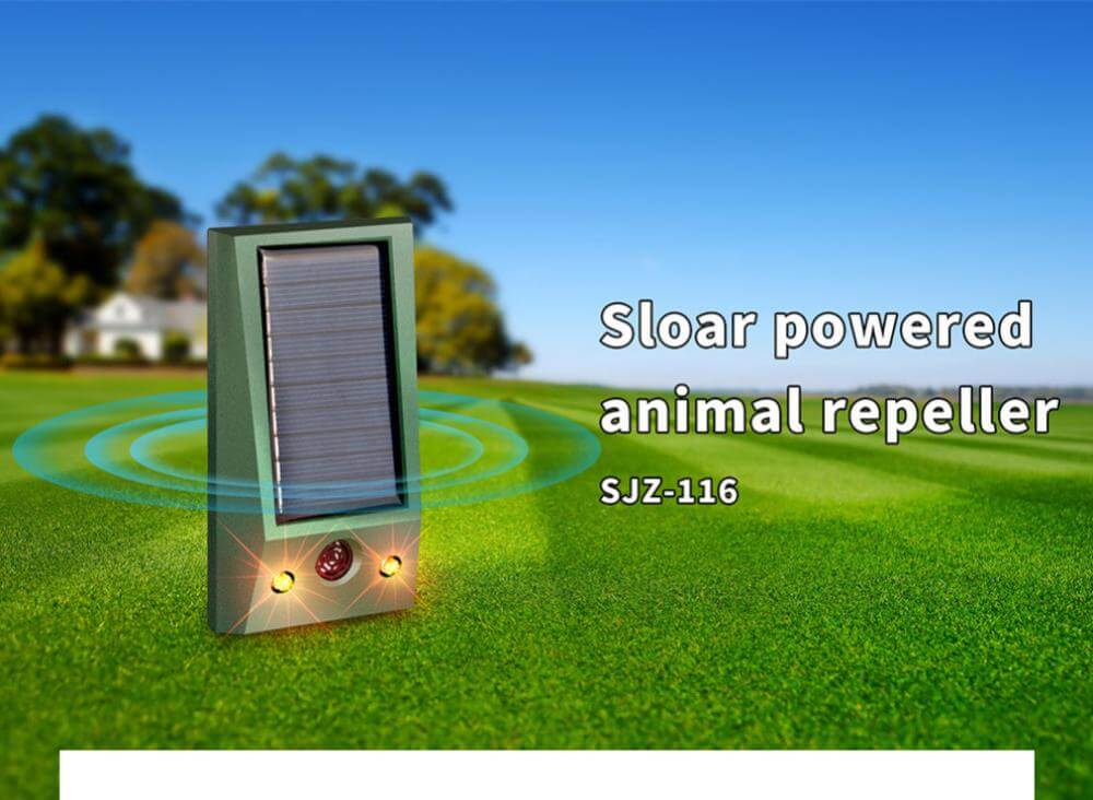 מכשיר סולארי להרחקת יונים ומזיקים אחרים