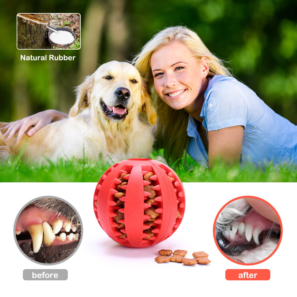 משחק כדור דנטלי לכלבים Trixie Dental Mintfresh Ball