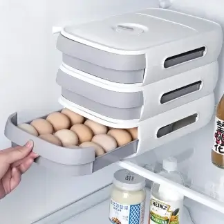 מגירת פלסטיק לאחסון ביצים