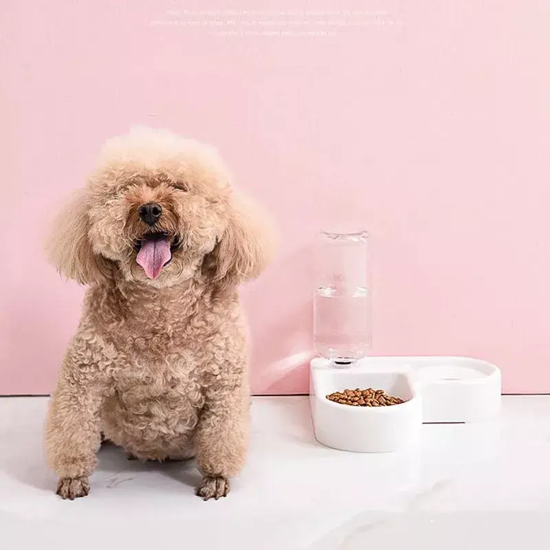 2 ב-1 מתקן האכלה ושתיה עם מנגנון אוטומטי לכלב ולחתול