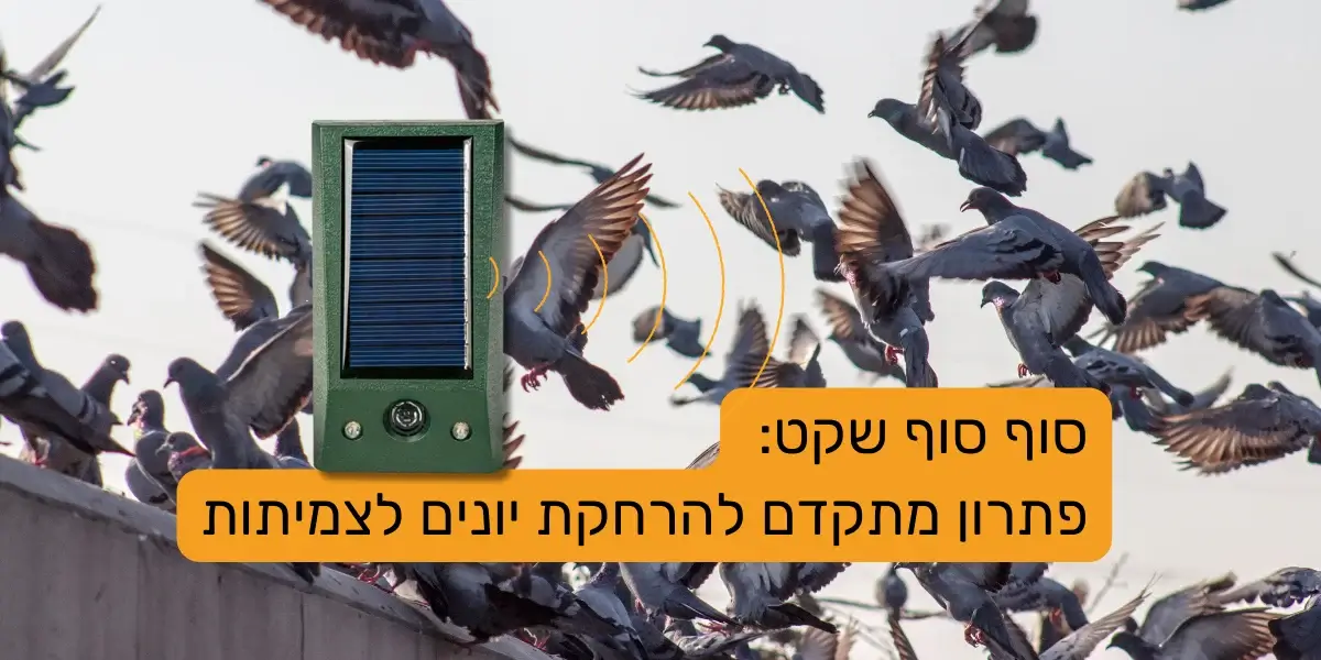 הרחקת יונים לצמיתות - מאמר של שופצ'יפ