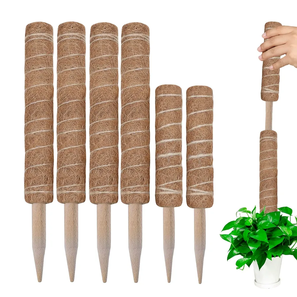 יתד לקיבוע צמח - משפר גדילה לצמחים מטפסים