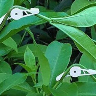 מכופפי צמחים מתכווננים 360 מעלות – מארז 10 יחידות