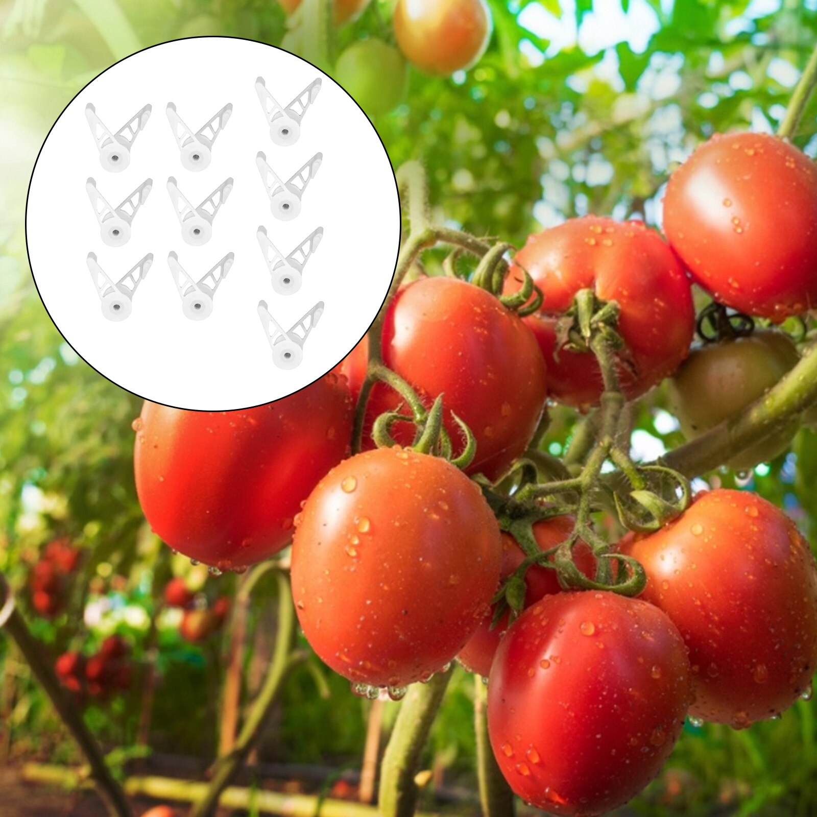 מכופפי צמחים מתכווננים 360 מעלות – מארז 10 יחידות – תמונה 5