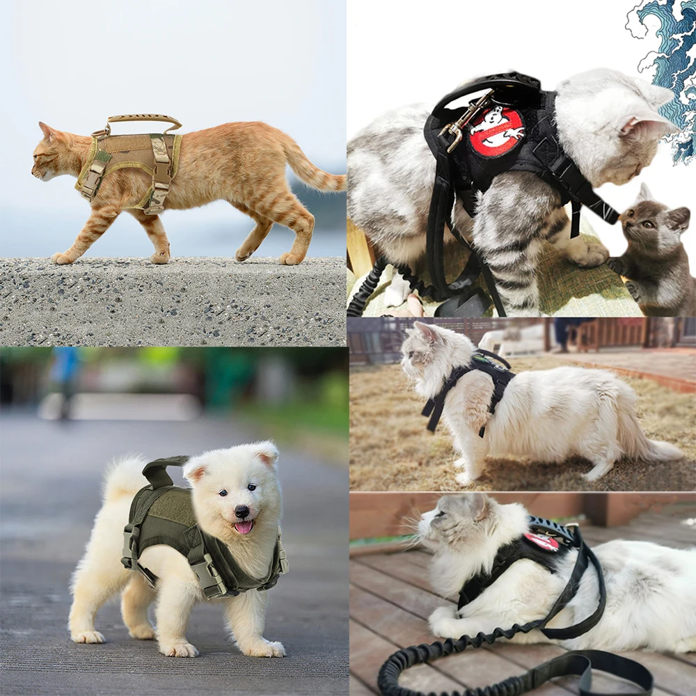 רתמה טקטית לכלבים קטנים וחתולים עם גודל מתכוונן – תמונה 5