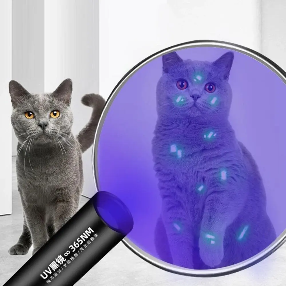 פנס UV לגילוי פטרת ומחלות עור בחתולים וכלבים נטען