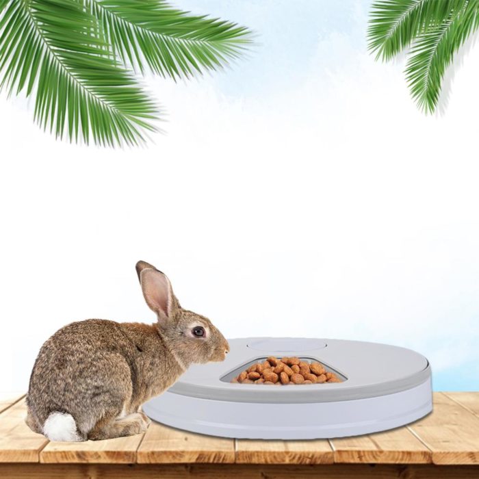 מאכיל כלבים אוטומטי מתוזמן עם 6 ארוחות למזון יבש ורטוב – תמונה 4