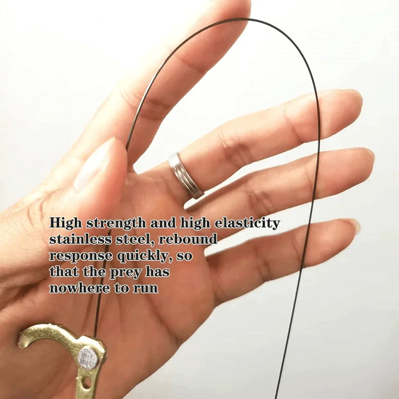 מלכודות לתפיסת ציפורים בטוחות וללא פגיעה - 5 סוגים – תמונה 5