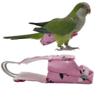 חליפת טיטול לתוכים וציפורים כותנה רב פעמית עם פפיון