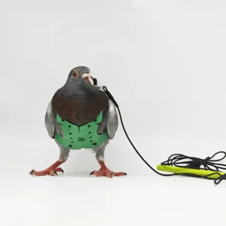 רתמה לתוכים מתכווננת עם רצועה לאימון ונשיאה בחוץ
