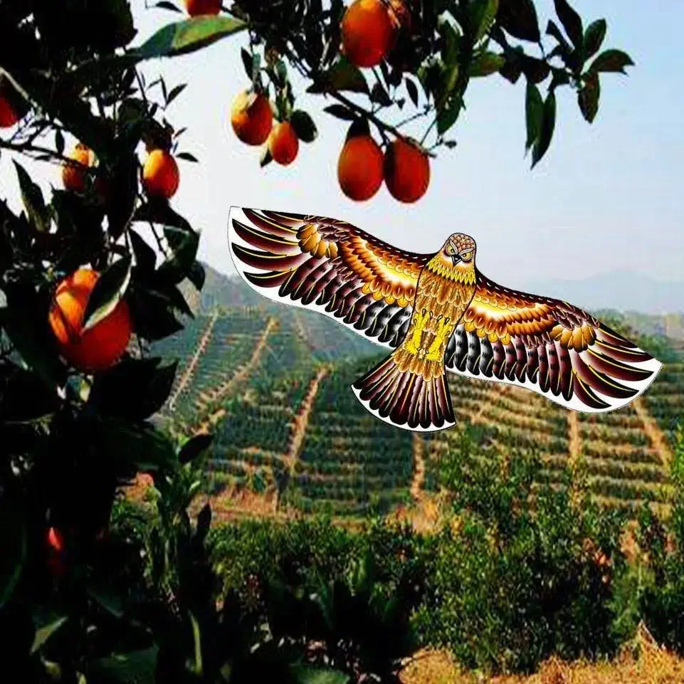 עפיפון דחליל נץ ענק להרחקת ציפורים מגינה וחווה – תמונה 3